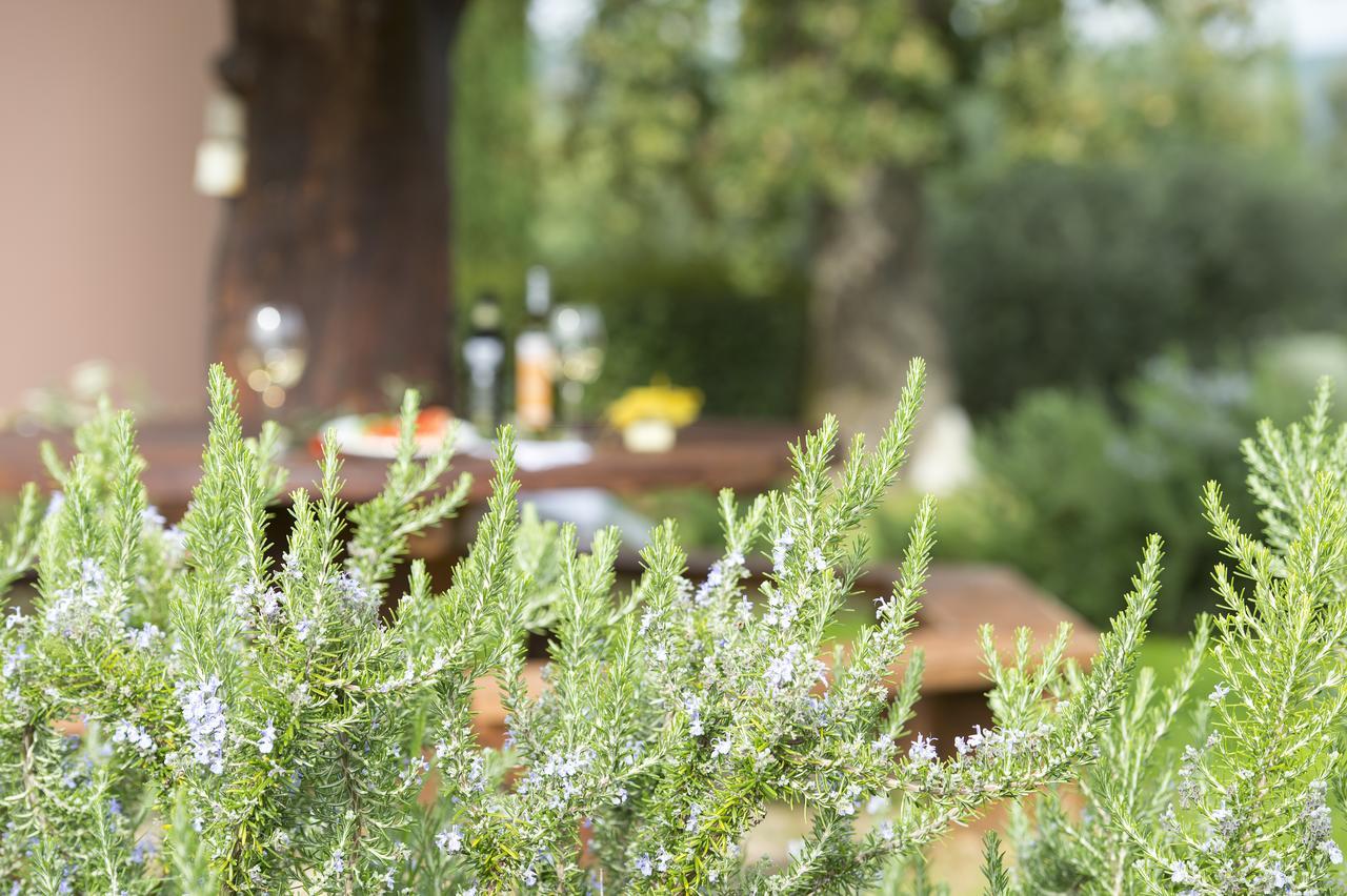 Agriturismo Poggio Corbello La Pesta ภายนอก รูปภาพ
