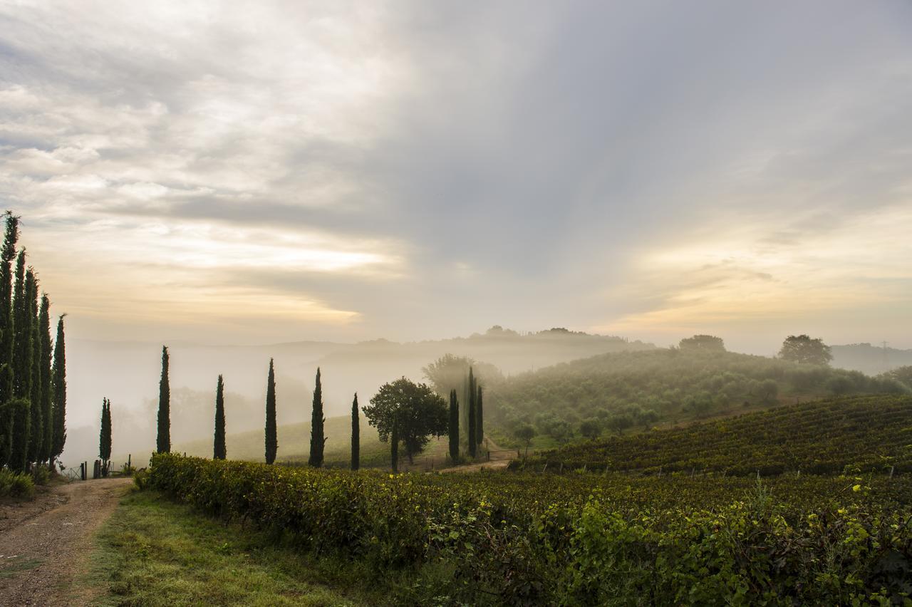 Agriturismo Poggio Corbello La Pesta ภายนอก รูปภาพ