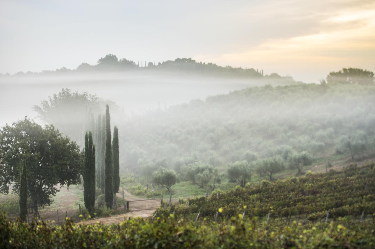 Agriturismo Poggio Corbello La Pesta ภายนอก รูปภาพ