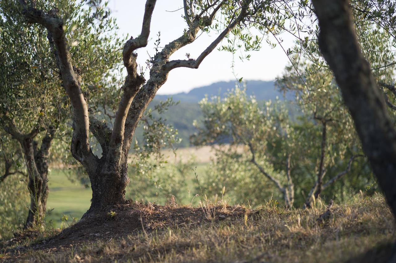 Agriturismo Poggio Corbello La Pesta ภายนอก รูปภาพ