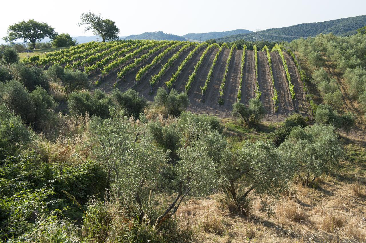 Agriturismo Poggio Corbello La Pesta ภายนอก รูปภาพ
