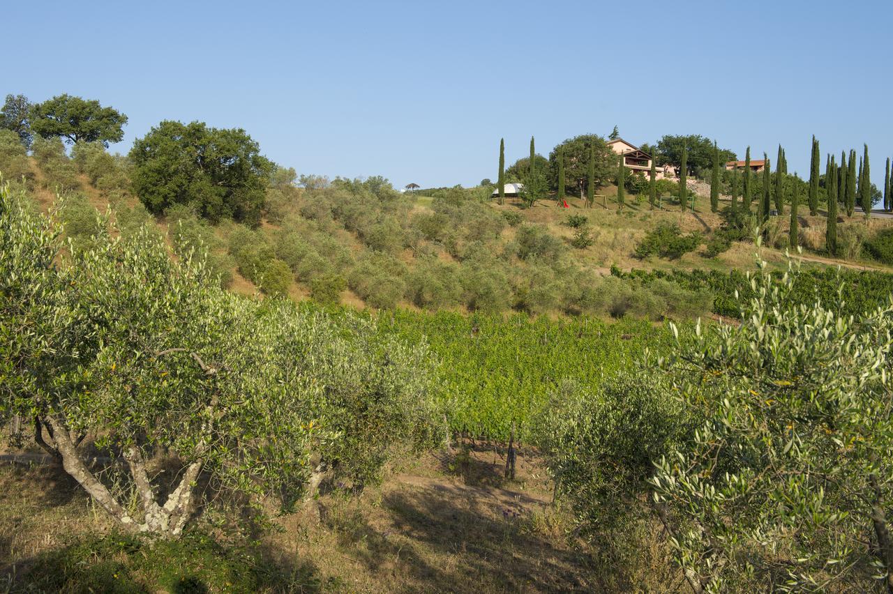 Agriturismo Poggio Corbello La Pesta ภายนอก รูปภาพ