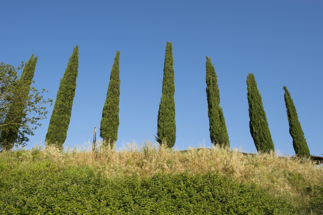 Agriturismo Poggio Corbello La Pesta ภายนอก รูปภาพ